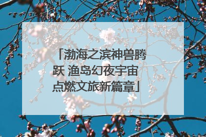 渤海之滨神兽腾跃 渔岛幻夜宇宙点燃文旅新篇章