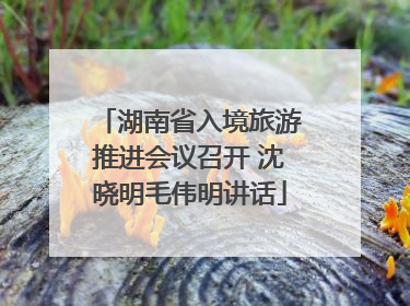 湖南省入境旅游推进会议召开 沈晓明毛伟明讲话