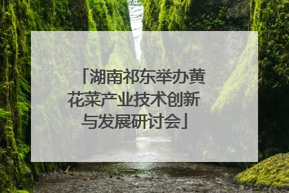 湖南祁东举办黄花菜产业技术创新与发展研讨会