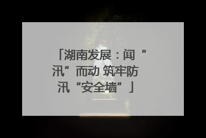 湖南发展：闻“汛”而动 筑牢防汛“安全墙”