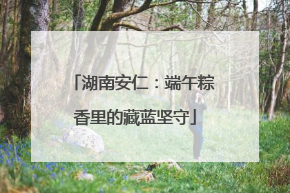 湖南安仁：端午粽香里的藏蓝坚守