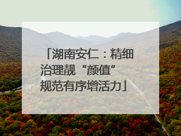 湖南安仁：精细治理靓“颜值” 规范有序增活力