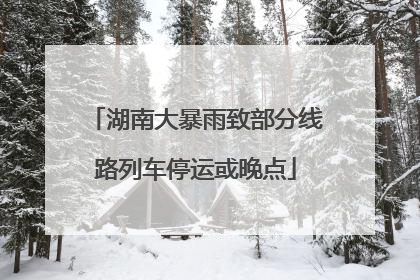 湖南大暴雨致部分线路列车停运或晚点