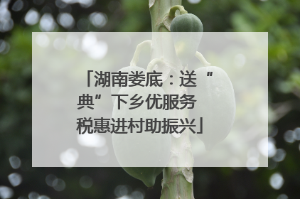 湖南娄底：送“典”下乡优服务 税惠进村助振兴