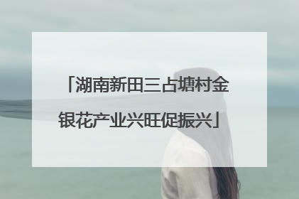 湖南新田三占塘村金银花产业兴旺促振兴