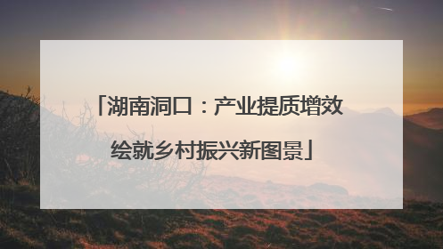 湖南洞口：产业提质增效 绘就乡村振兴新图景