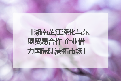 湖南芷江深化与东盟贸易合作 企业借力国际陆港拓市场