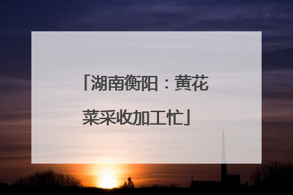 湖南衡阳：黄花菜采收加工忙