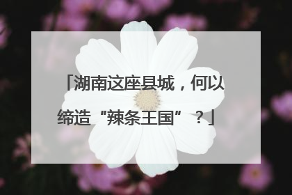 湖南这座县城，何以缔造“辣条王国”？