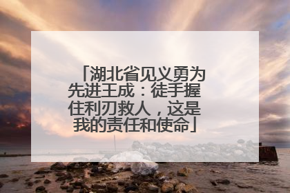 湖北省见义勇为先进王成：徒手握住利刃救人，这是我的责任和使命