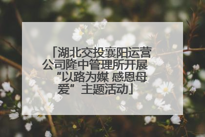 湖北交投襄阳运营公司隆中管理所开展“以路为媒 感恩母爱”主题活动