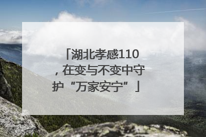 湖北孝感110，在变与不变中守护“万家安宁”