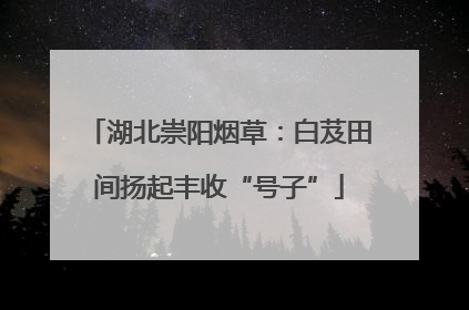 湖北崇阳烟草：白芨田间扬起丰收“号子”