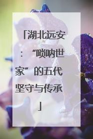 湖北远安：“唢呐世家”的五代坚守与传承