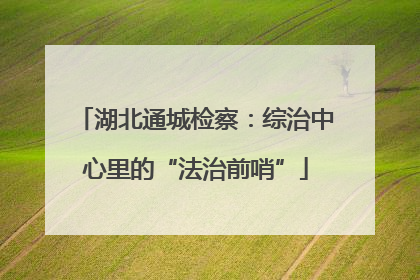 湖北通城检察：综治中心里的“法治前哨”