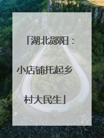 湖北郧阳：小店铺托起乡村大民生