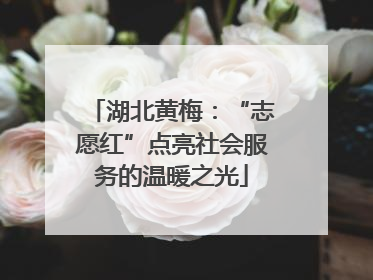 湖北黄梅：“志愿红”点亮社会服务的温暖之光