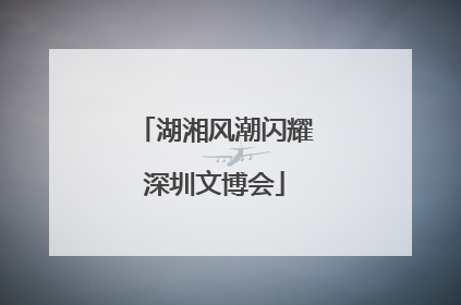 湖湘风潮闪耀深圳文博会