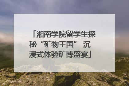 湘南学院留学生探秘“矿物王国” 沉浸式体验矿博盛宴