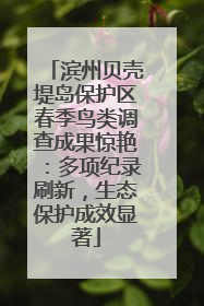 滨州贝壳堤岛保护区春季鸟类调查成果惊艳：多项纪录刷新，生态保护成效显著