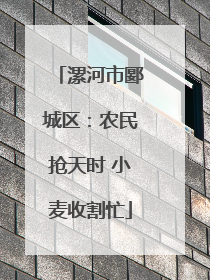 漯河市郾城区：农民抢天时 小麦收割忙