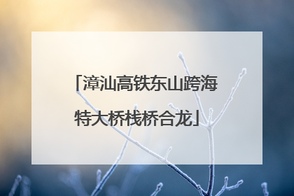 漳汕高铁东山跨海特大桥栈桥合龙