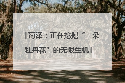 菏泽：正在挖掘“一朵牡丹花”的无限生机