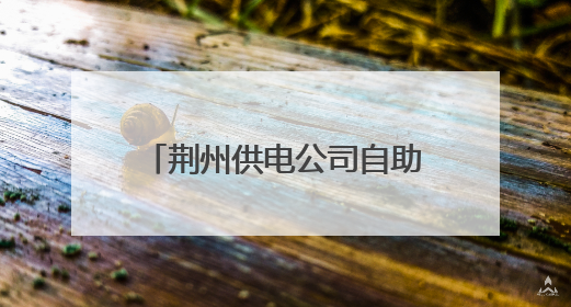 荆州供电公司自助终端进社区 居民家门口就近办电