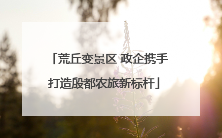荒丘变景区 政企携手打造殷都农旅新标杆
