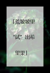 荒坡坡里“试”出希望果