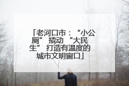 老河口市：“小公厕” 撬动 “大民生” 打造有温度的城市文明窗口