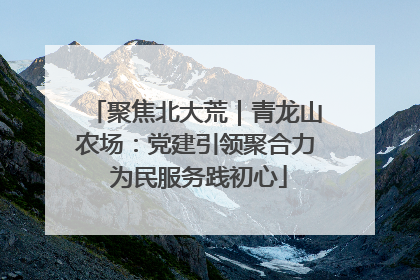 聚焦北大荒｜青龙山农场：党建引领聚合力 为民服务践初心