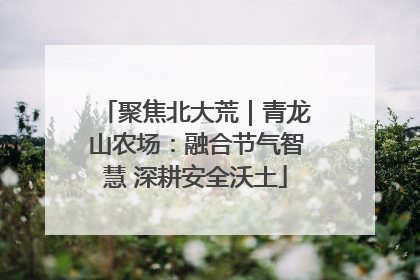 聚焦北大荒｜青龙山农场：融合节气智慧 深耕安全沃土