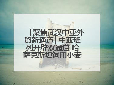 聚焦武汉中亚外贸新通道│中亚班列开辟双通道 哈萨克斯坦饲用小麦将抵鄂
