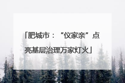 肥城市：“仪家亲”点亮基层治理万家灯火