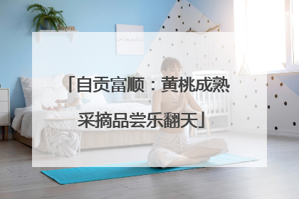 自贡富顺：黄桃成熟 采摘品尝乐翻天