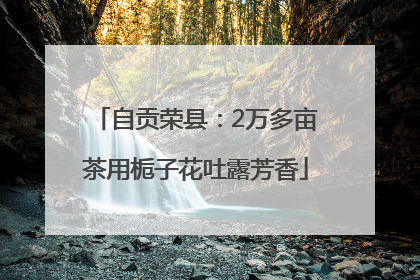 自贡荣县：2万多亩茶用栀子花吐露芳香