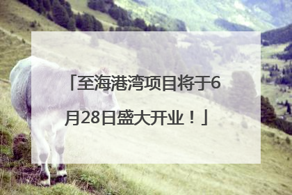 至海港湾项目将于6月28日盛大开业！