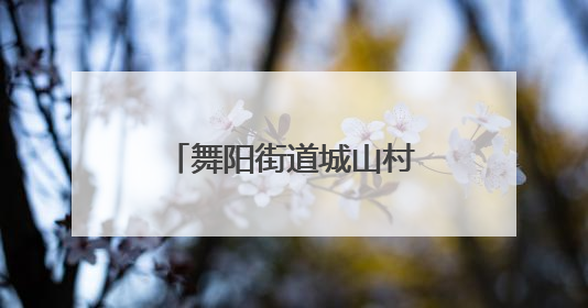 舞阳街道城山村：走进苗木基地，织密反诈防护网