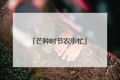 芒种时节农事忙