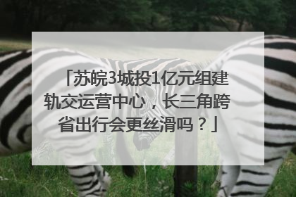 苏皖3城投1亿元组建轨交运营中心，长三角跨省出行会更丝滑吗？