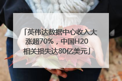 英伟达数据中心收入大涨超70%，中国H20相关损失达80亿美元