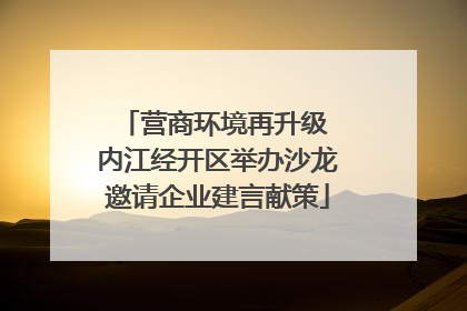 营商环境再升级 内江经开区举办沙龙邀请企业建言献策