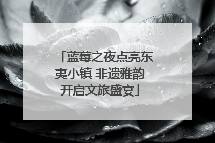 蓝莓之夜点亮东夷小镇 非遗雅韵开启文旅盛宴