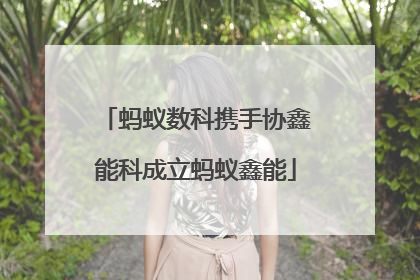 蚂蚁数科携手协鑫能科成立蚂蚁鑫能