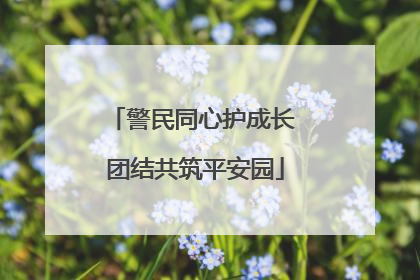 警民同心护成长 团结共筑平安园