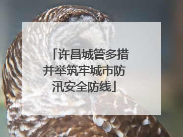 许昌城管多措并举筑牢城市防汛安全防线