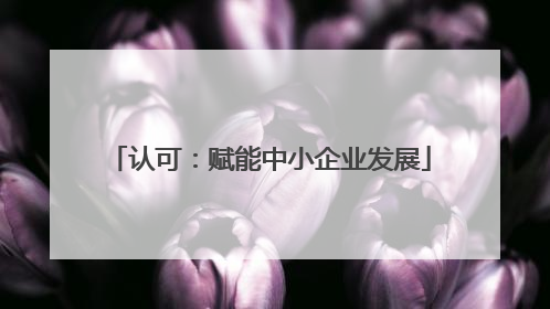认可：赋能中小企业发展
