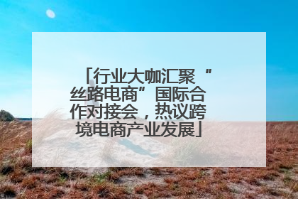 行业大咖汇聚“丝路电商”国际合作对接会，热议跨境电商产业发展