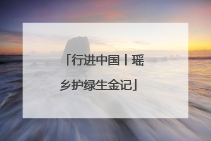行进中国丨瑶乡护绿生金记
